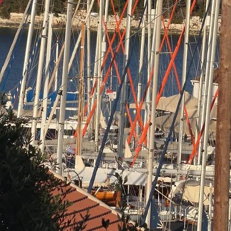 καμέλια 3